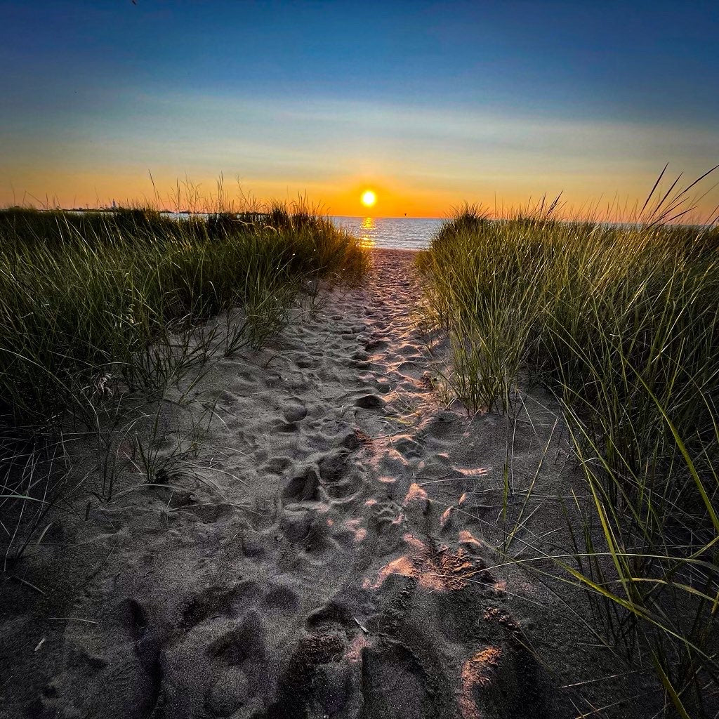 Photograph of a sandy path through dunes covered in grass, leading to a beautiful golden sunset.